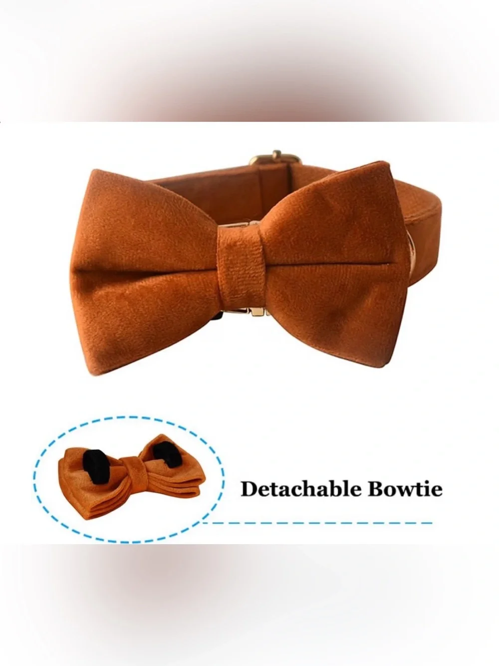 Velvet Dog Collar with Bow Tie Bowtie Dog Collar with Metal Buckle